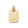 Placa Oro 9k lisa brillo