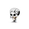 Charm en plata de ley Harry Potter