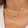 collar acero chapado