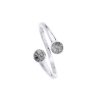 Anillo plata de ley cenizas doble